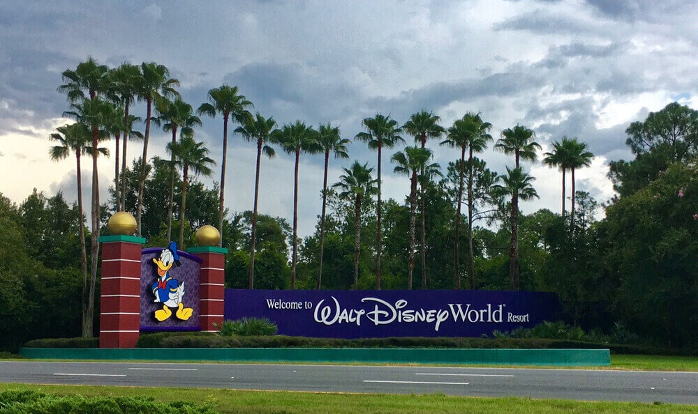 donald duck drawing on a wall with the logo of Walt Disney World written on the wall