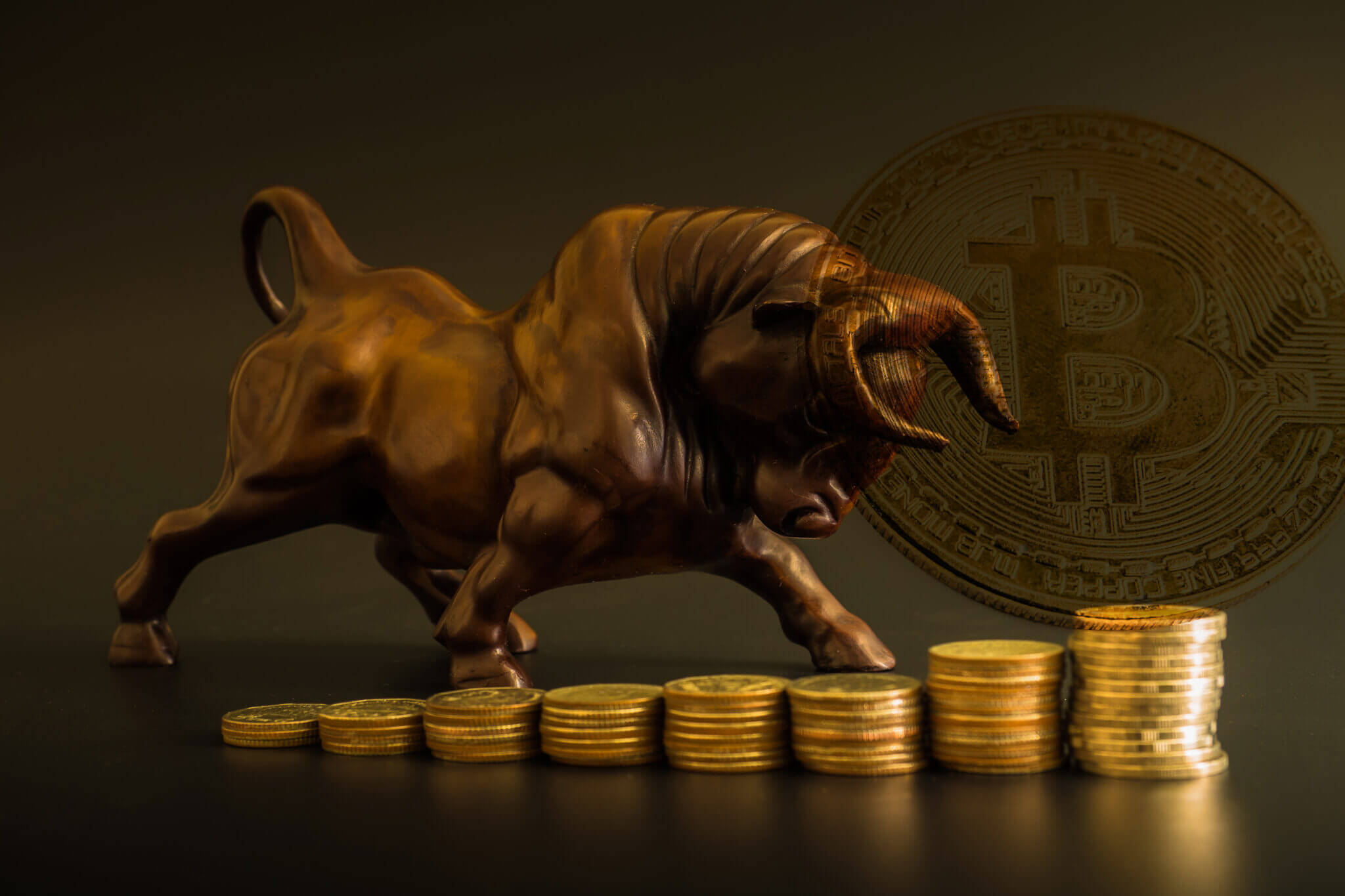 Bull standing next to coins