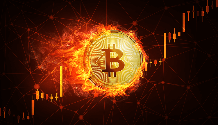 Bitcoin Collapse Again to $7,000s - Finance Brokerage