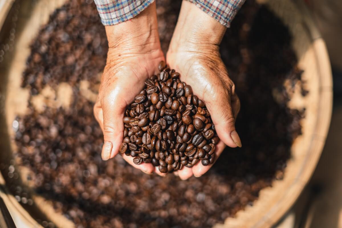 Coffee prices have moved lower over the past six week
