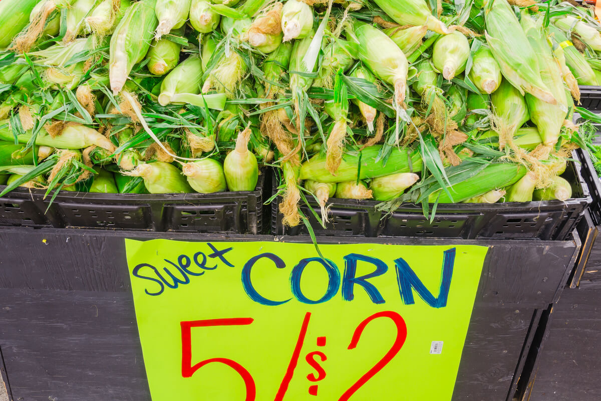 Demand for Corn in the Market; How Coronavirus Influences It
