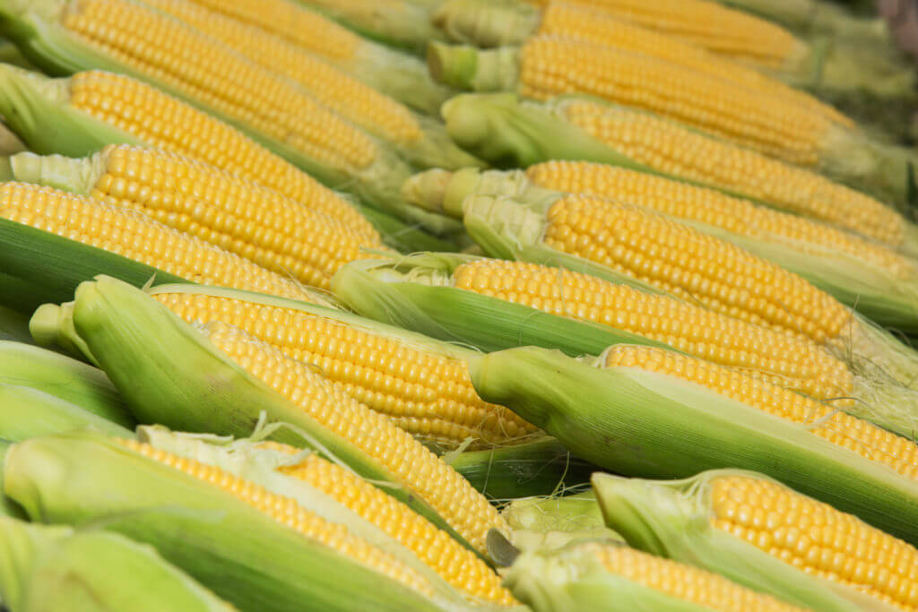 Corn Comes Calling
