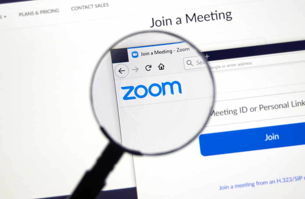 Zoom official website and logo.