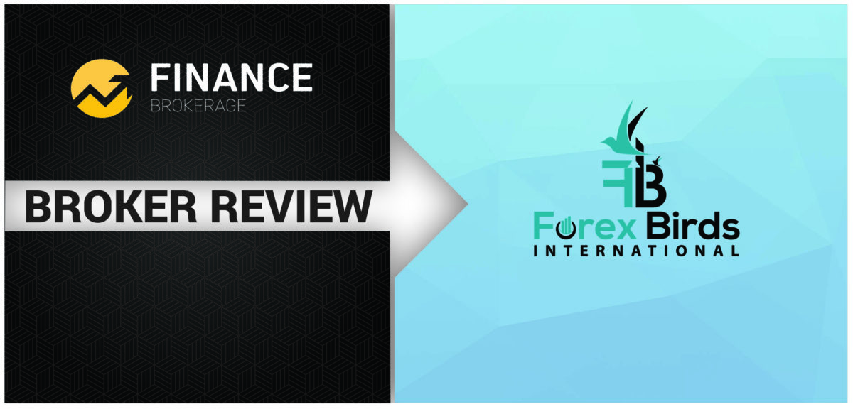 forex birds review