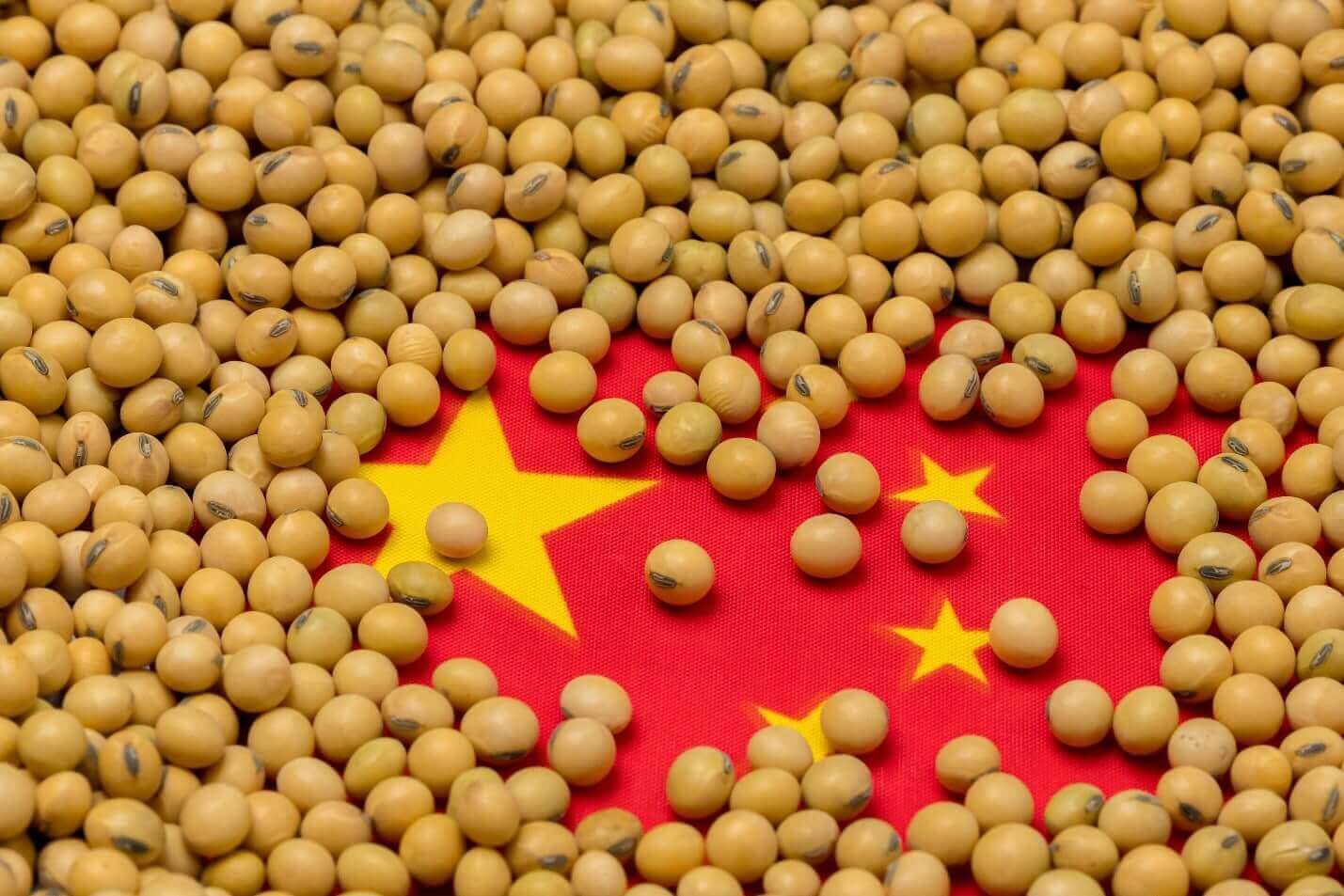 Importação de commodities na China impulsiona carga a granel