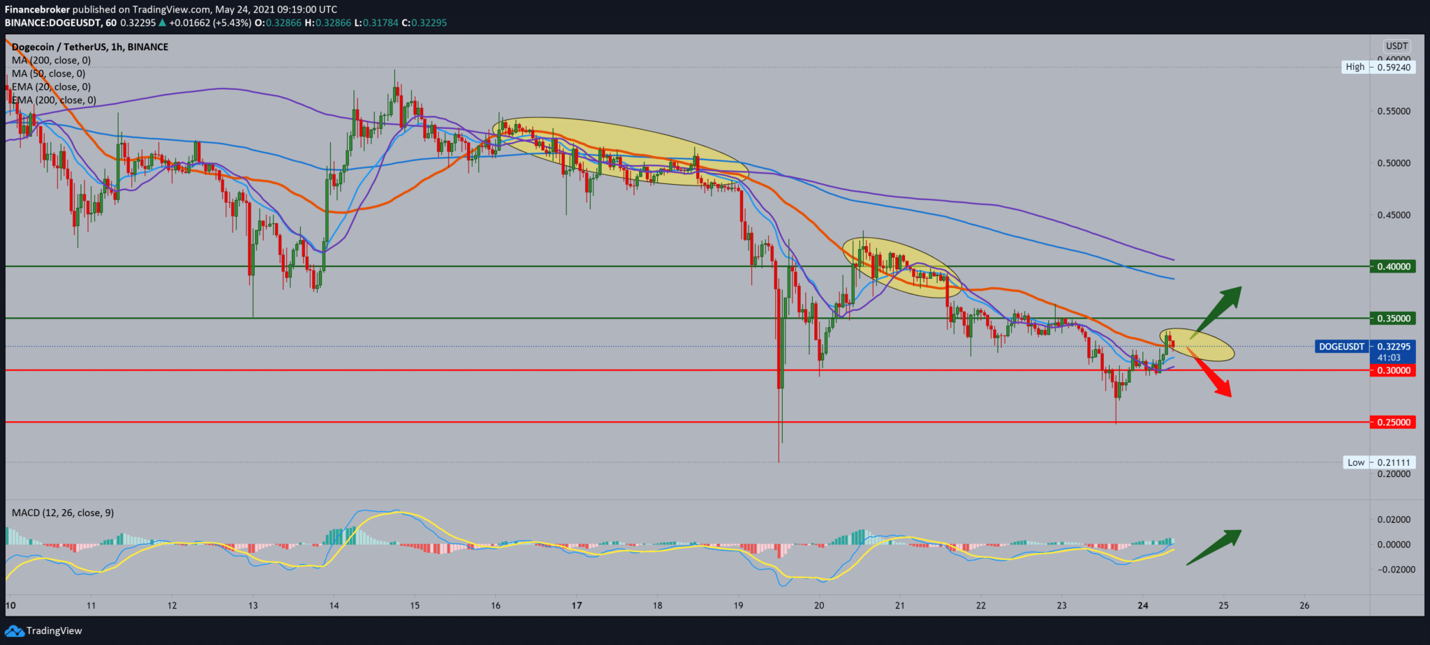 Dogecoin support above 0.30000