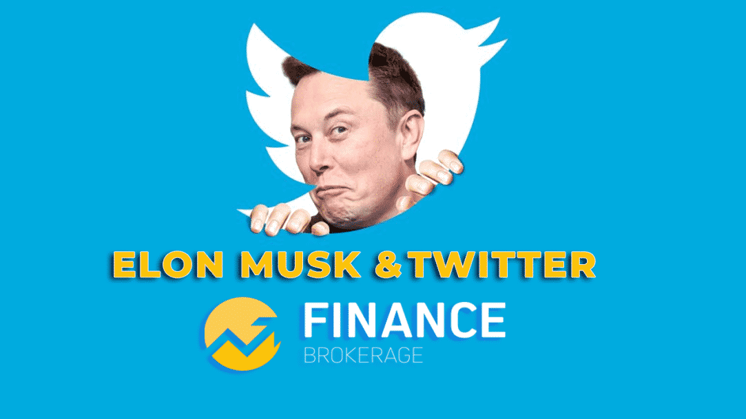 Elon Musk and twitter