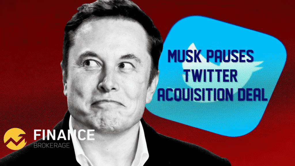 Elon Musk Pauses Twitter Acquisition