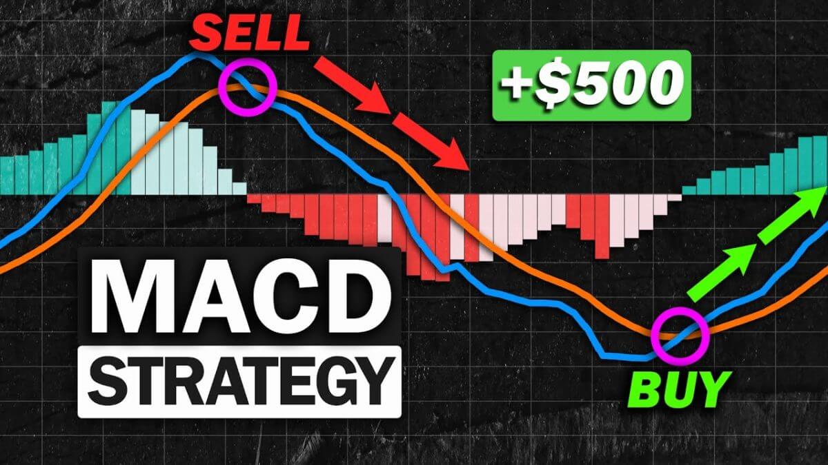 what is macd crypto