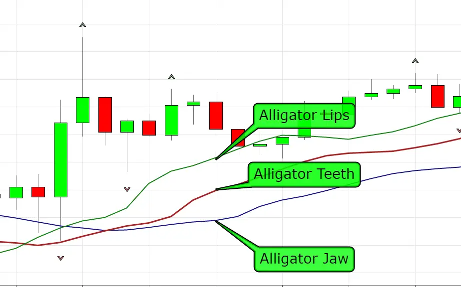 alligator indicator
