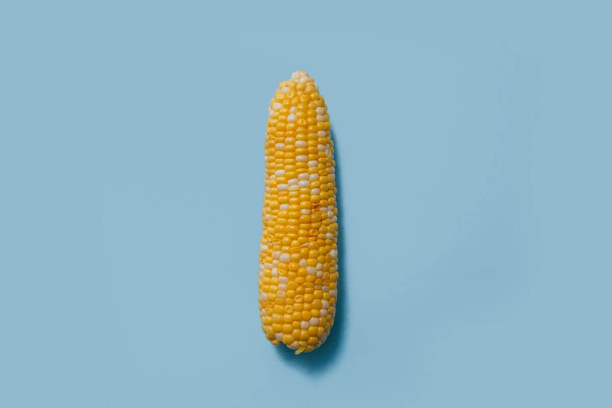 corn price