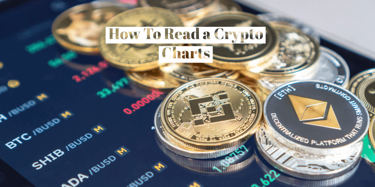 How To Read a Crypto Charts - The Simple Way