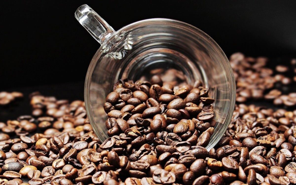 Le café US perd 3% ce lundi 7 novembre 2022