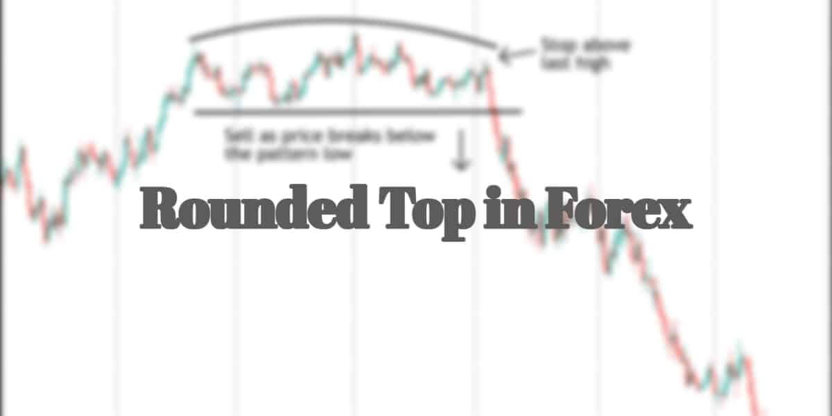 What is a Rounded Top in Forex - Get All The Basics Of It