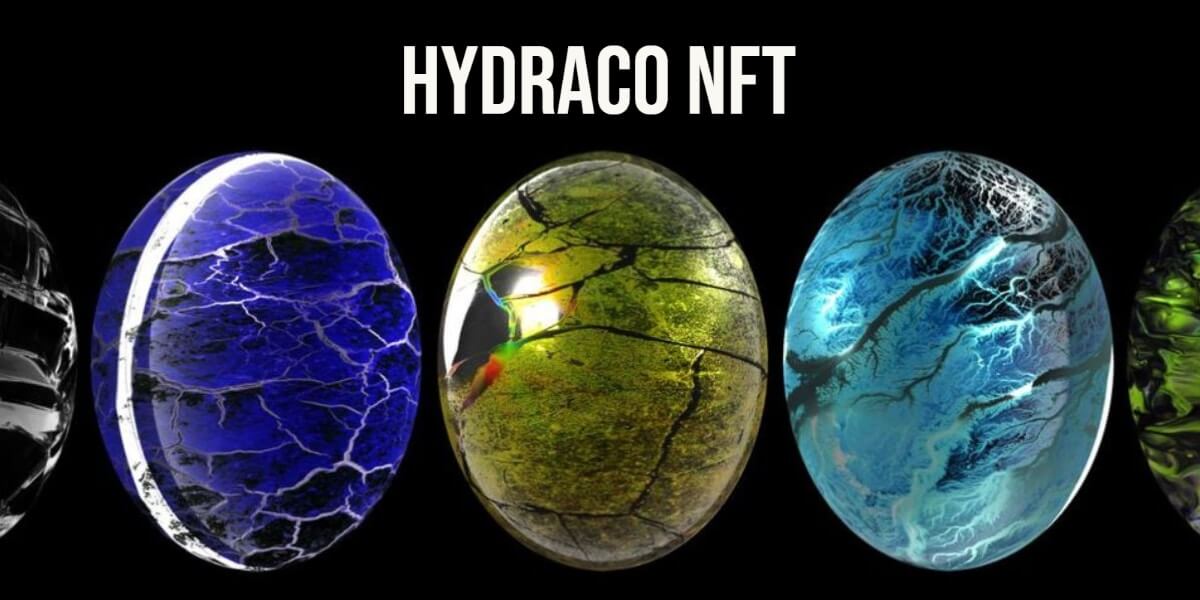 HydraCo NFT - full information about the projects