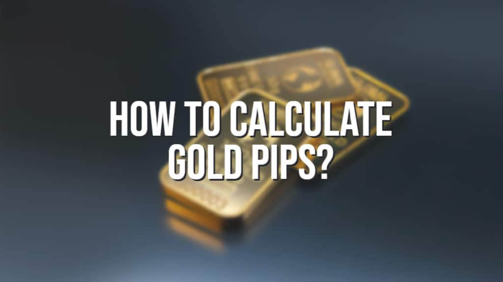 How to Calculate Gold Pips?