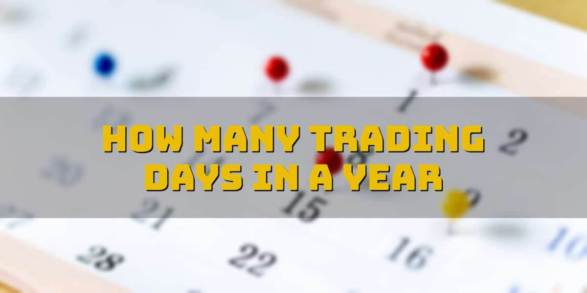 How many trading days in a year: a trading guide by a PRO