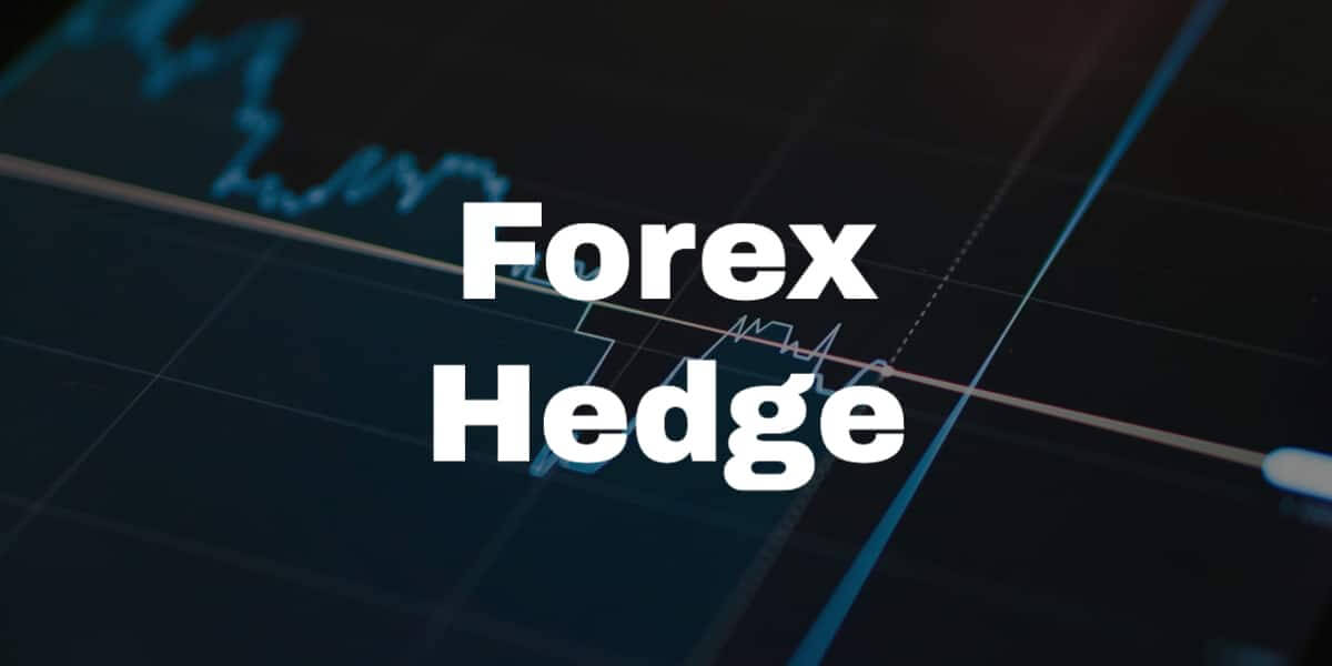 Forex Hedge: How to Hedge Currency Risk