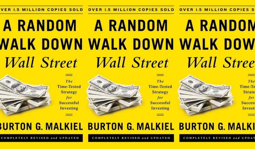 stock market books for beginners: A Random Walk Down Wall Street by Burton G. Malkiel