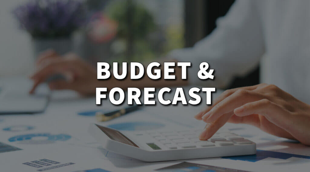 What is the difference between budget and forecast exactly?