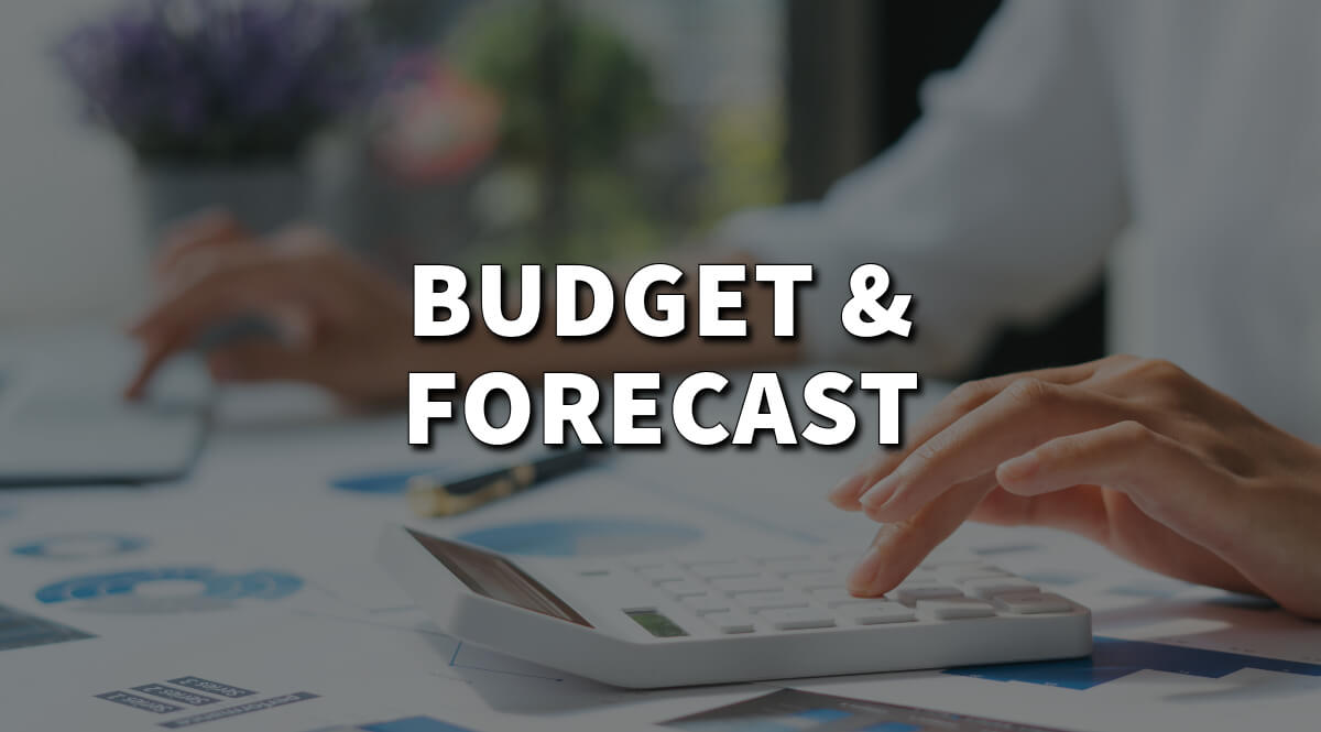 What is the difference between budget and forecast exactly?