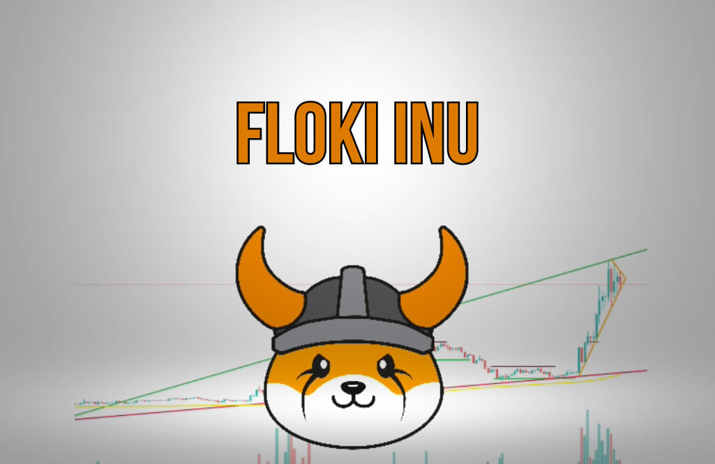 Floki Inu and its purpose 