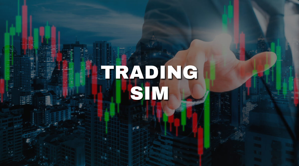 TradingSim: Is It Good a Trading Simulator?