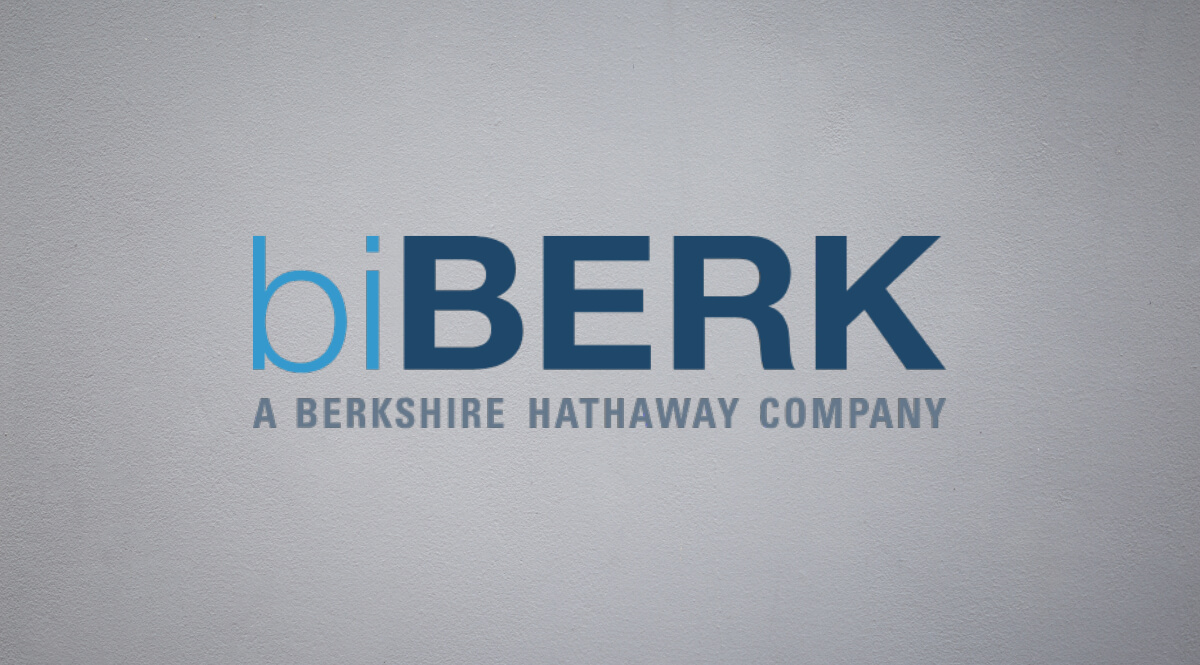 What is biberk insurance - Get All The Information
