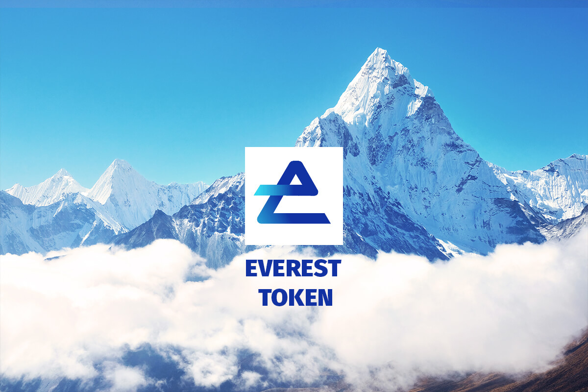 Everest Token's Staggering 307% Rally: A Deep Dive