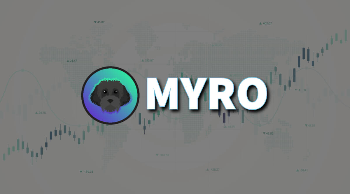 Myro Coin: What You Need to Know Before You Invest In It