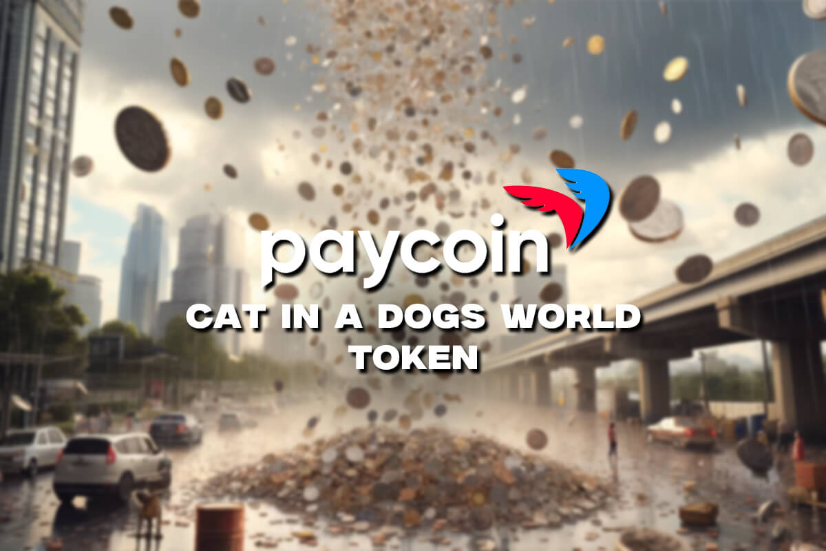 Paycoin's Volatile 22.73% Plunge & 2024 Market Outlook