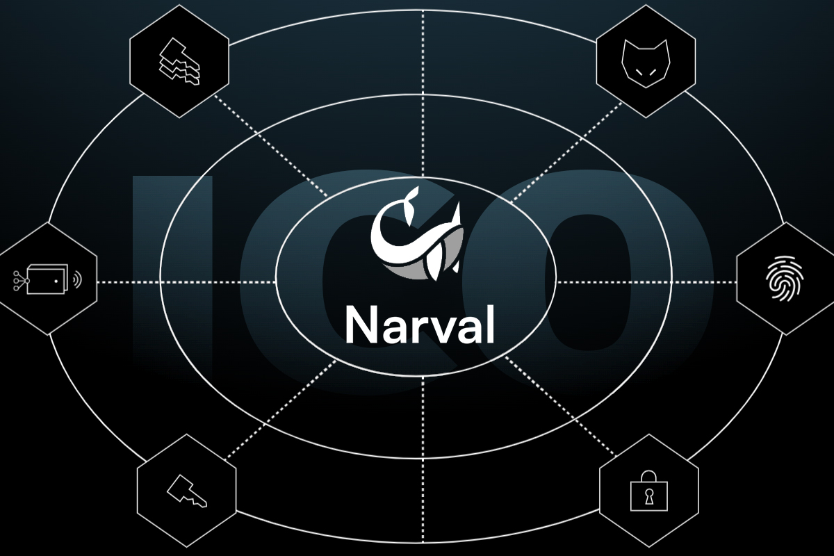 Narval ICO: Revolutionizing Web3 Wallet Management